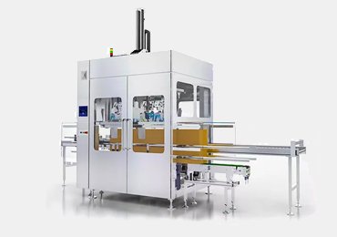 Grab Type Packing Production Line