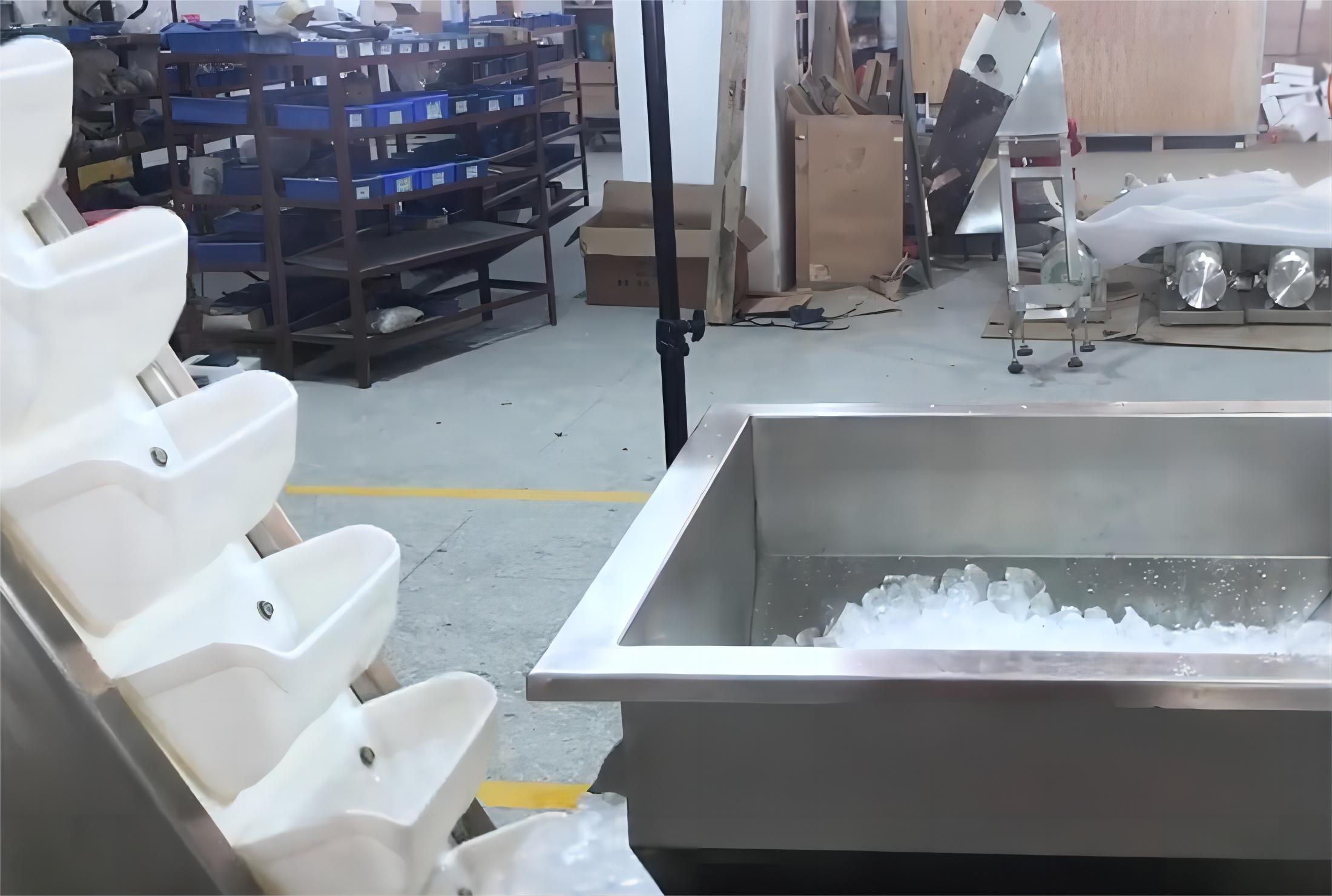 Ice Packing Machine2